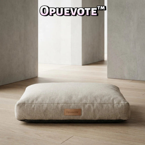Minimalist Pet Cushion